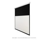 Avtek Business Electric Screen 300P
